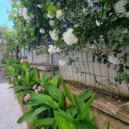 בית הארחה Jasmin 3*