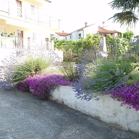 Jasmin רוביני